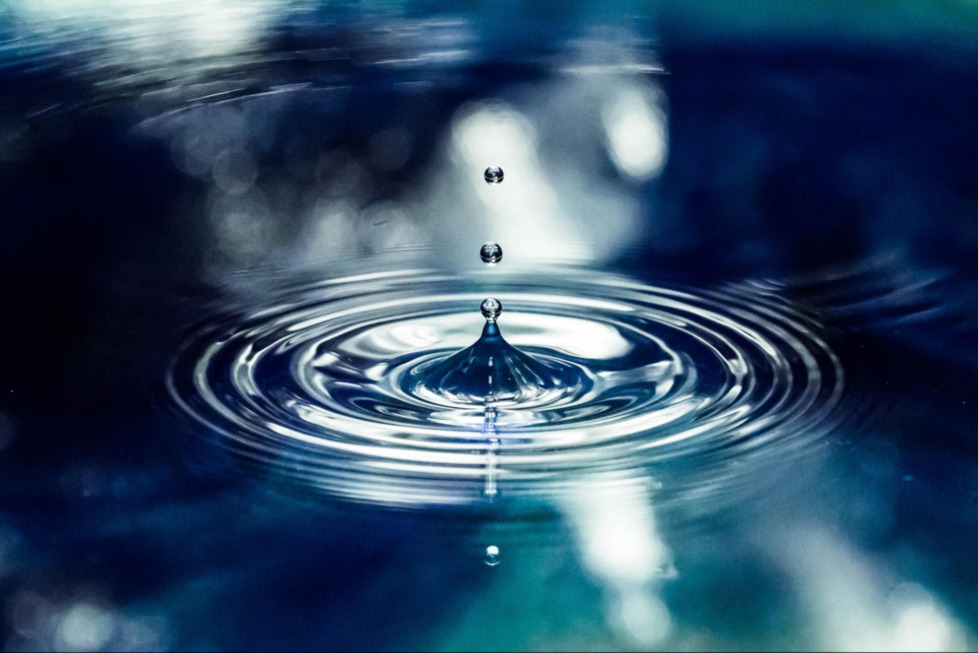 © Allison Coles / shutterstock.com